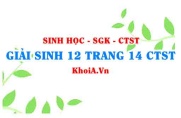 Giải Sinh 12 trang 14 Chân trời Sáng tạo